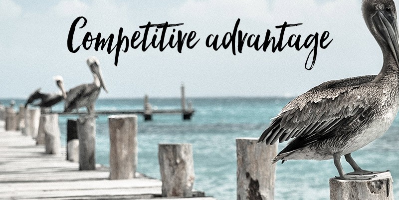 The importance of Defining your Competitive Advantage